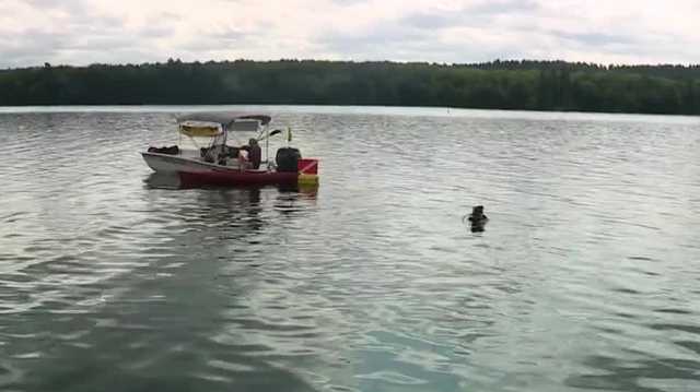 Maine organizations team up to combat milfoil - Vimarsana News