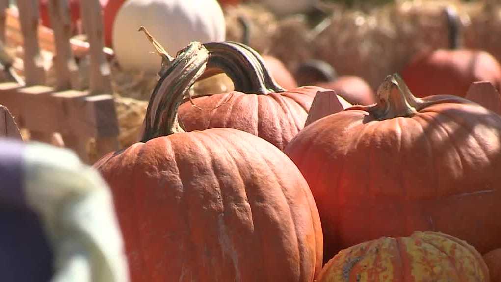 Events happening in Albuquerque this weekend