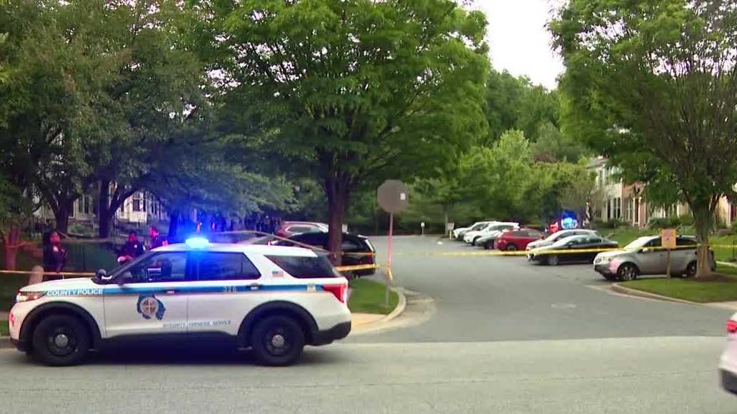 Shooting News Image