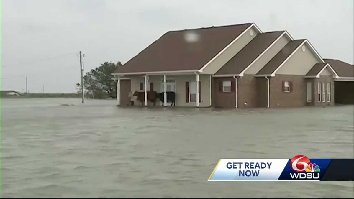 Louisiana hurricanes How to prepare based off your risk