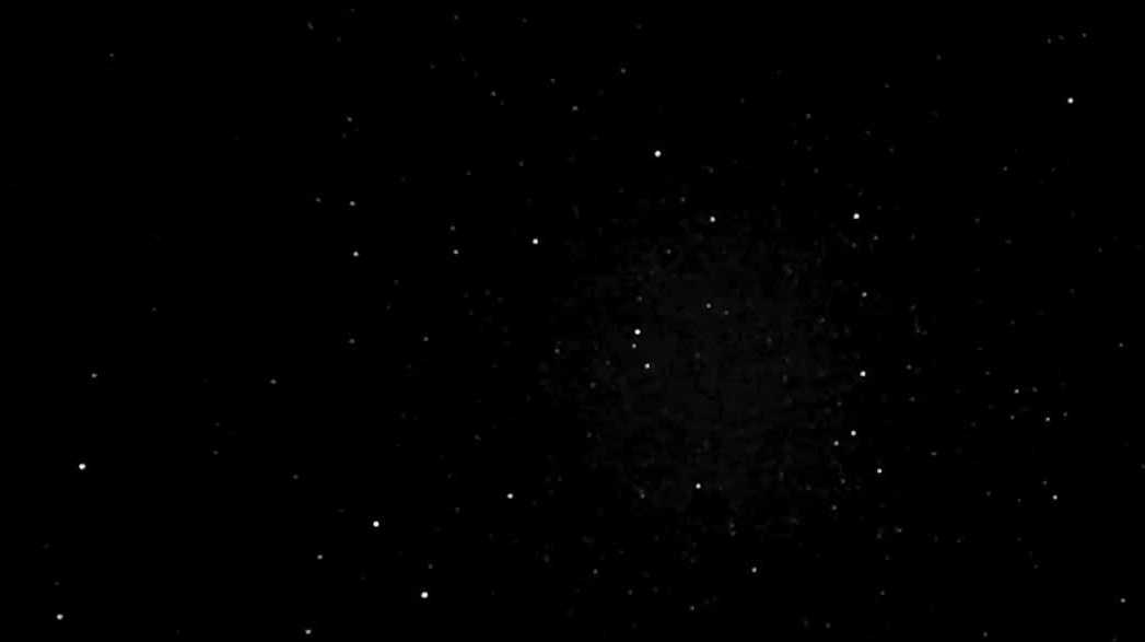 Perseid meteor shower captivates record crowds at Placerville observatory