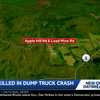 Troy man killed in Nelson dump truck crash