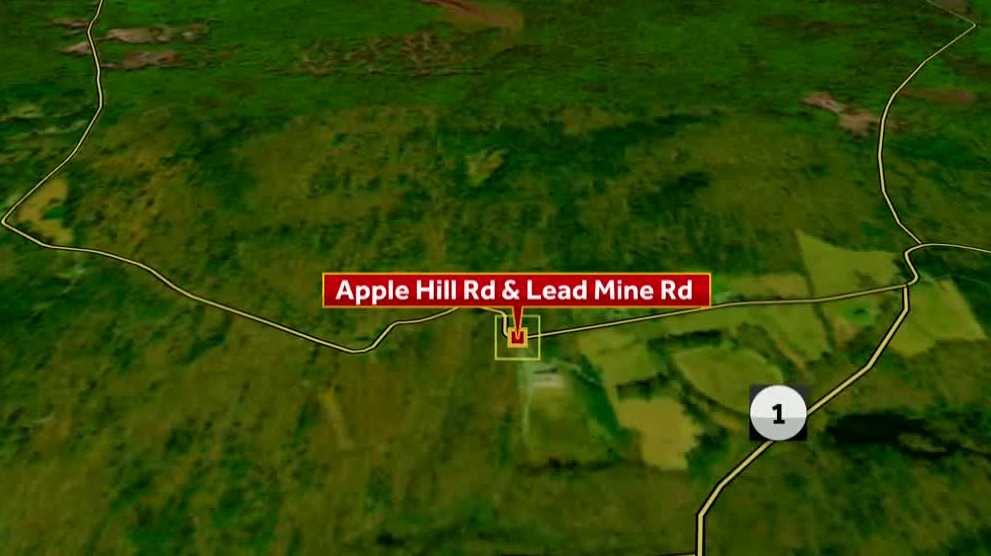 Troy man killed in Nelson dump truck crash