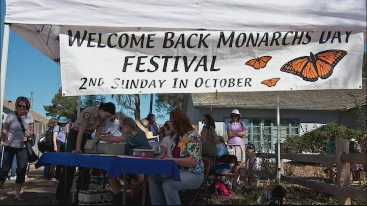 Monarch butterfly migration in Santa Cruz