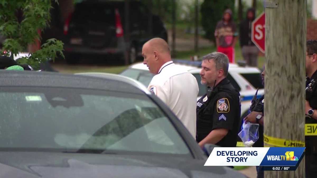 Suspect in Gwynn Oak double homicide held without bond