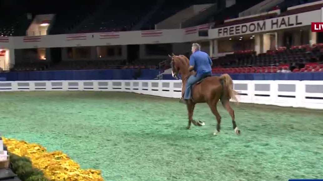 Spectators allowed back at World's Championship Horse Show at the