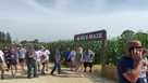 KCCI archives: Field of Dreams ghost players are still living their  baseball dreams