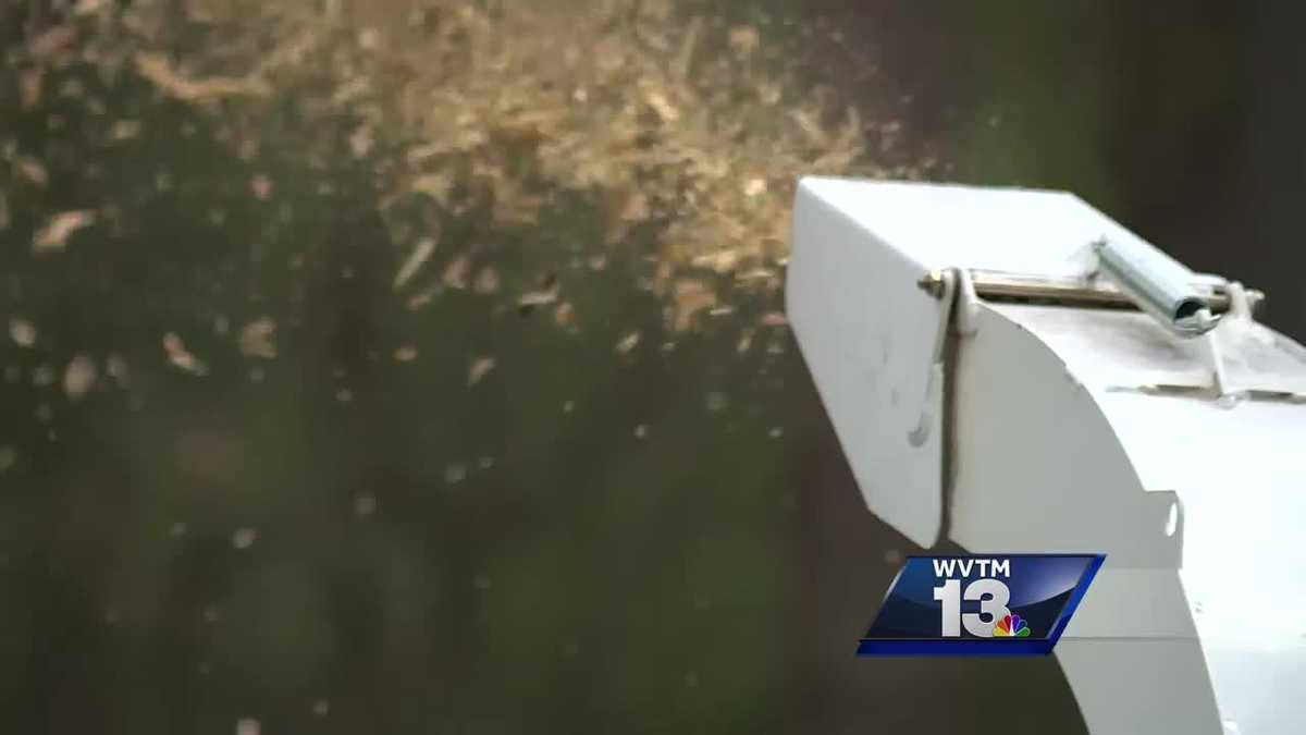 Storm cleanup in full swing after Wednesday's storms - WVTM
