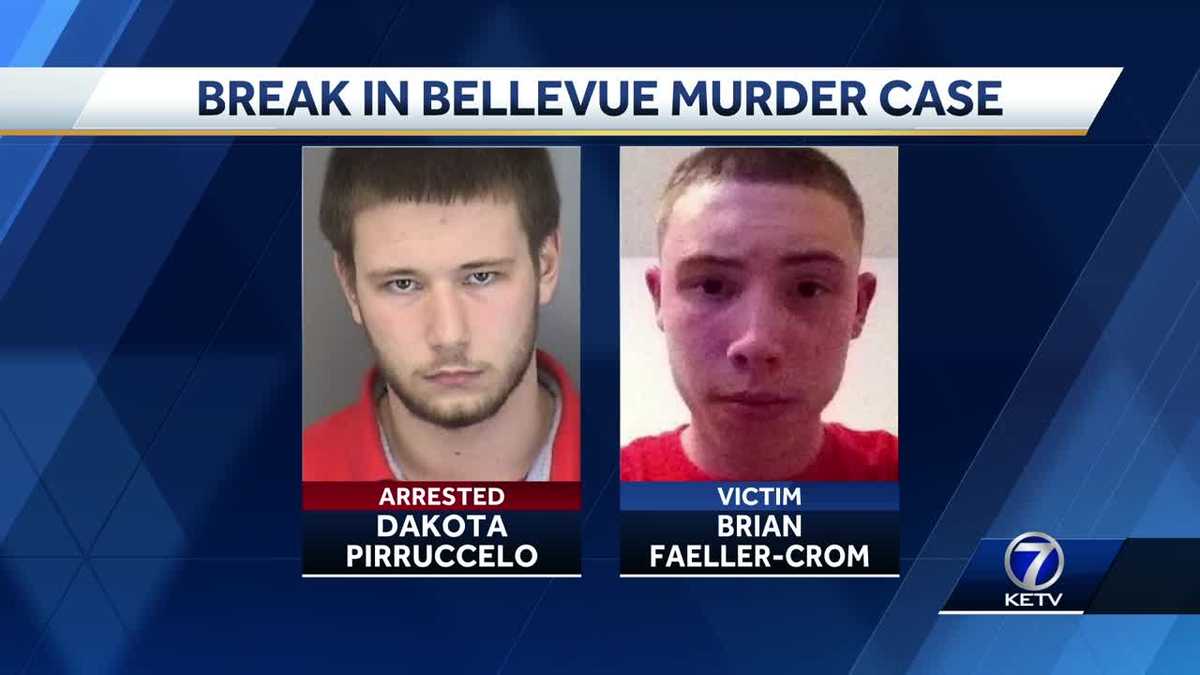 Man pleads guilty to charges in connection with Bellevue murder