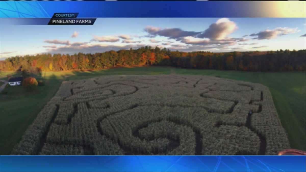 Plenty Of Family Fun At Pineland Farms Harvest Festival