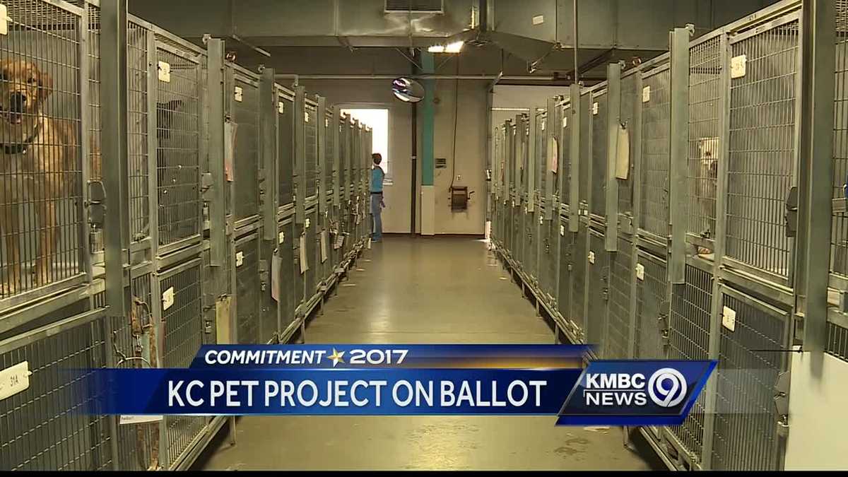 Once a construction shed for Arrowhead, KC Pet Project requesting funds
