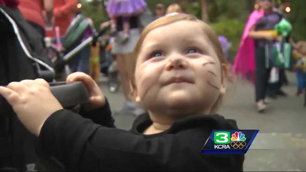 Halloween fun at the Sacramento Zoo