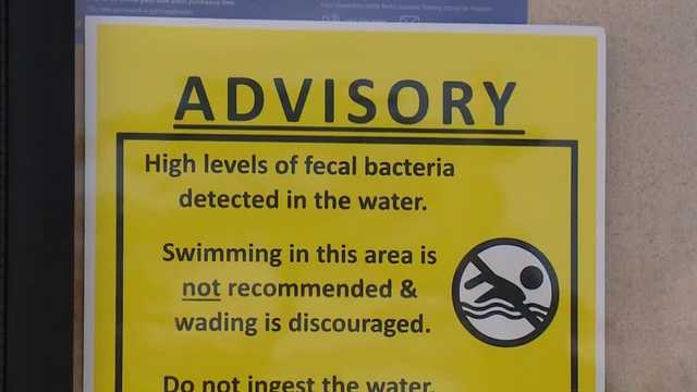 4 NH beaches under fecal bacteria advisories - Vimarsana News