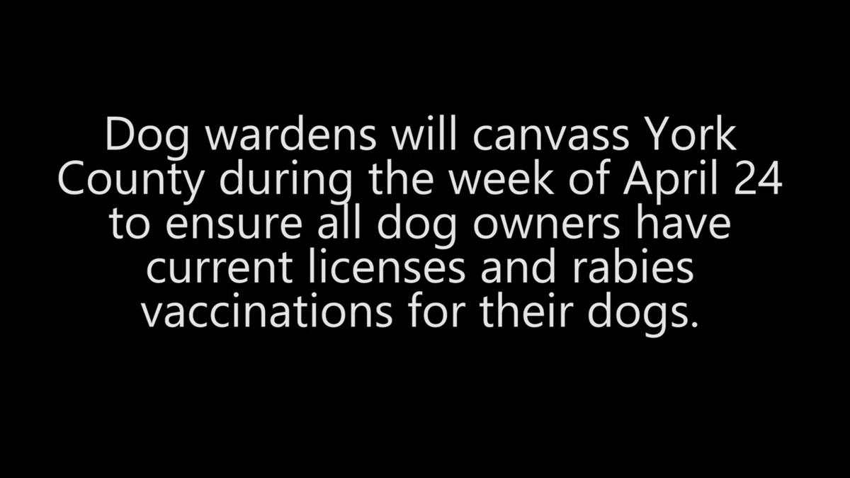 Dog wardens checking for dog licenses, rabies vaccinations in York County