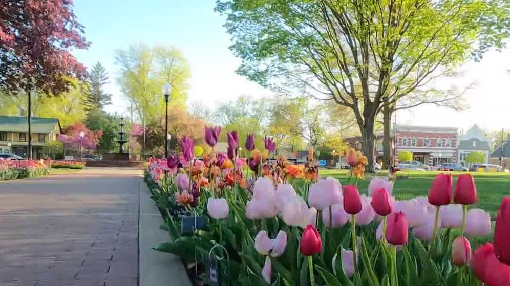 Pella Tulip Time Popular 3day festival starts in Marion County
