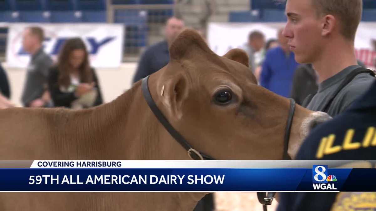 The AllAmerican Dairy Show comes to Harrisburg