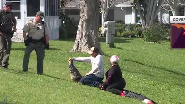 Woman walking dog in 55+ community killed in Florida gator attack - Vimarsana News
