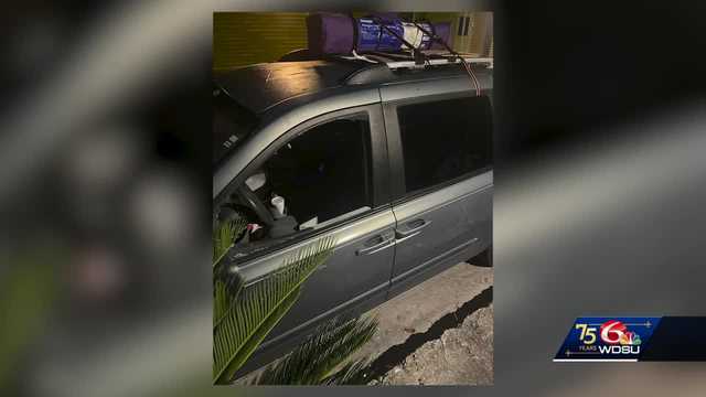 New Orleans small business says a hundred king cakes were stolen from delivery van - Vimarsana News