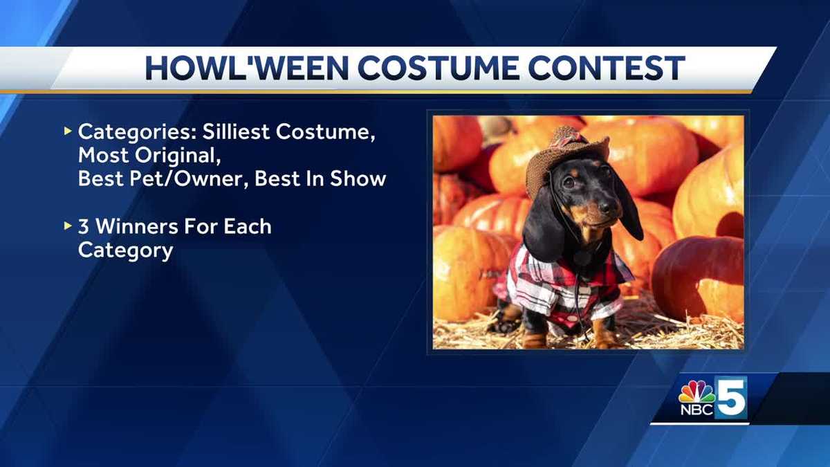 Church Street Marketplace hosts annual dog Halloween costume contest