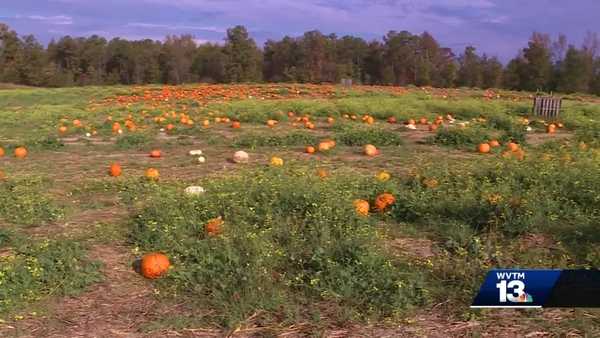 penton farms overcomes drought