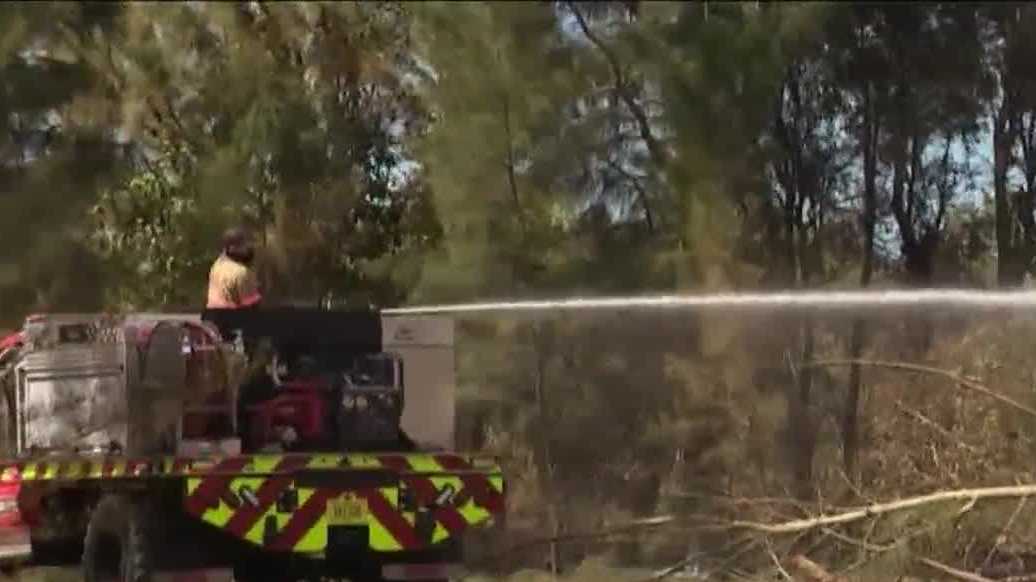 Brush fire burns nearly 2 acres in Cape Coral preserve amid dry conditions