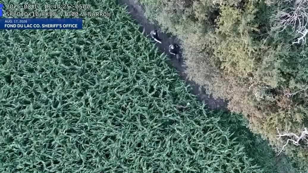 Fond du Lac County Sheriff's Office releases video of chase through cornfield