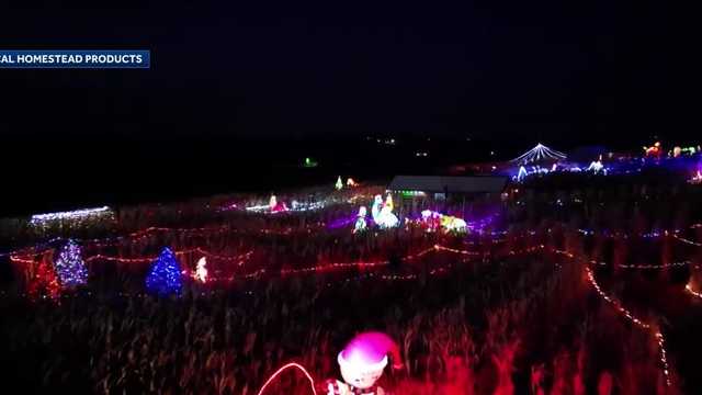 Watch: 1M lights offer holiday cheer at 'Christmas in the Corn' - Vimarsana News