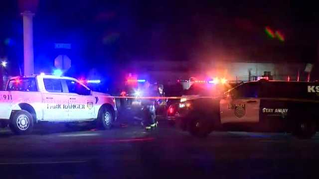 Woman and Sacramento police K9 assaulted with a pipe, police say - Vimarsana News