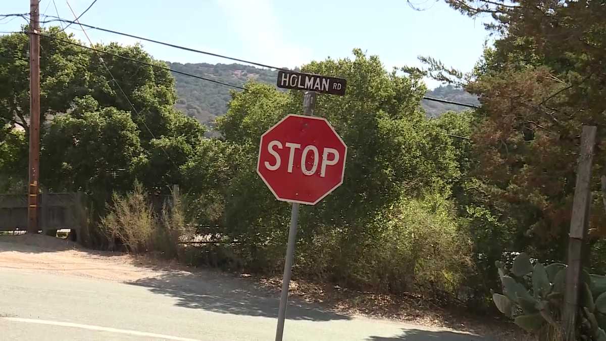Stop signs riddled with bullets after wild night in Carmel Valley