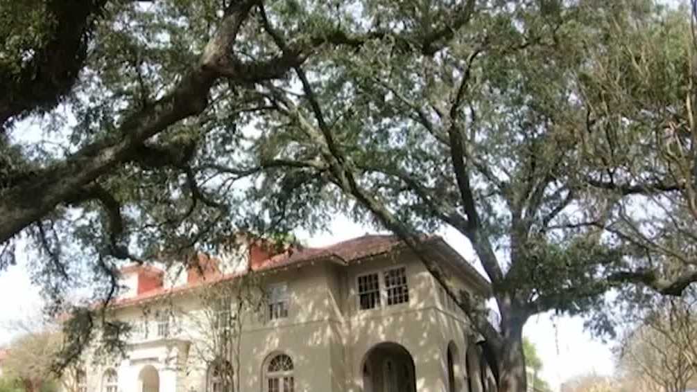 LSU suspends two fraternities over hazing allegations - WDSU