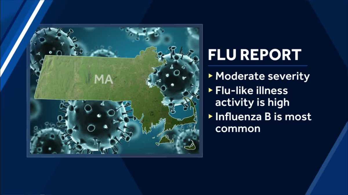 Flu report Influenza B strain most common in Massachusetts