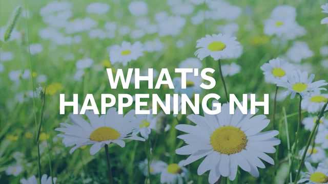 New Hampshire things to do this weekend: April 22-23, 2023 - Vimarsana News