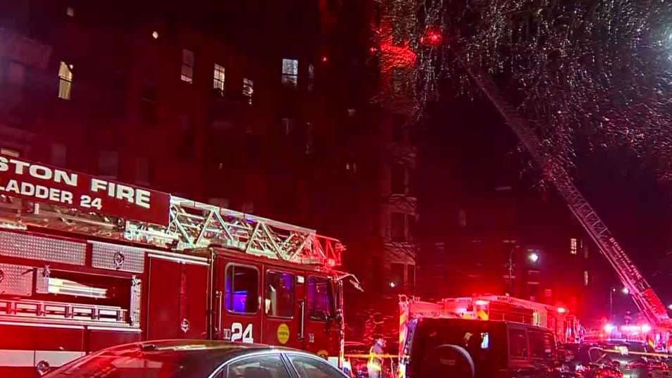 Burning Christmas tree blamed for Back Bay fire