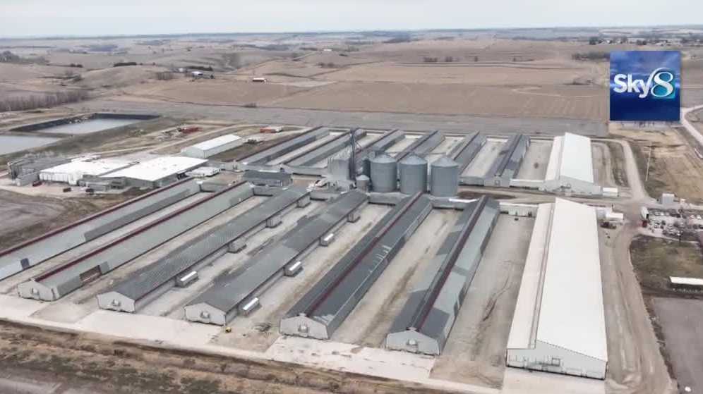 Iowa Is The State Hardest Hit By Bird Flu In The Country