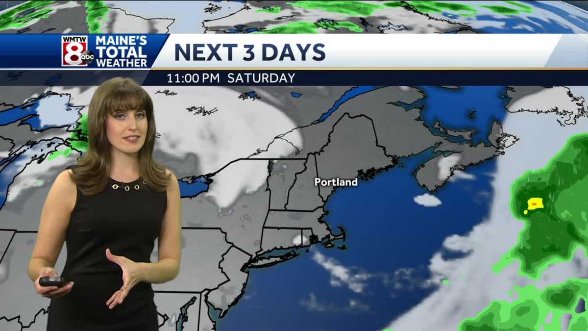 An isolated shower or storm, otherwise a mainly dry weekend