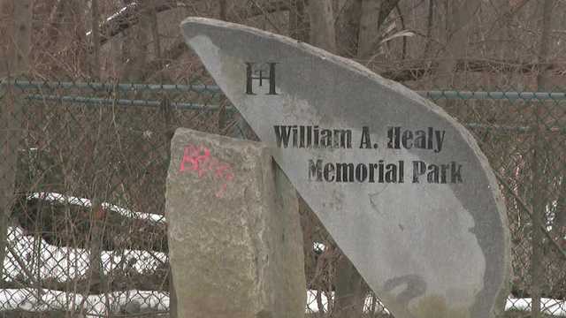 Woman charged after allegedly injuring man with pellet gun - Vimarsana News