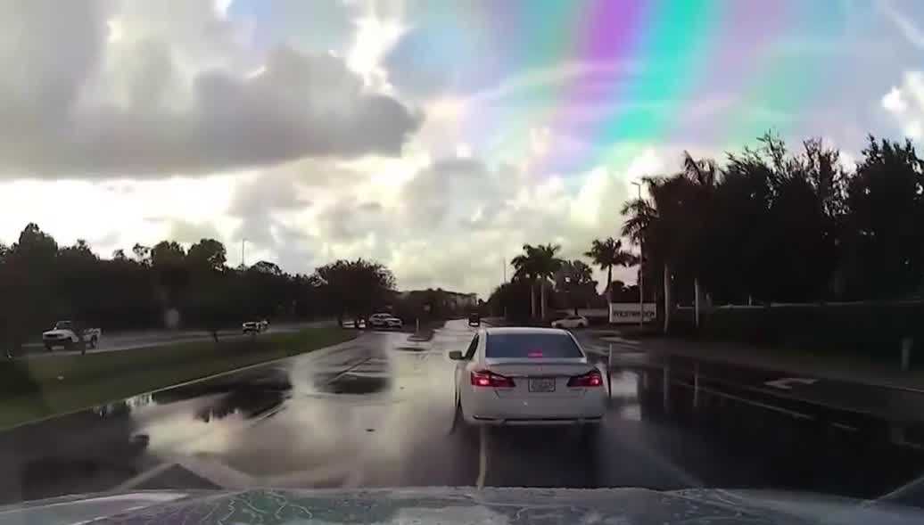 Florida deputies use grappler to stop suspect after domestic ...