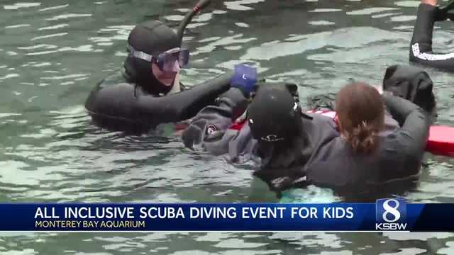 Monterey Bay Aquarium held a scuba diving experience for kids with different abilities - Vimarsana News