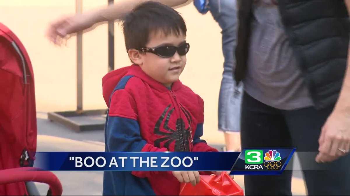 Kids enjoy early Halloween fun with Boo at the Zoo
