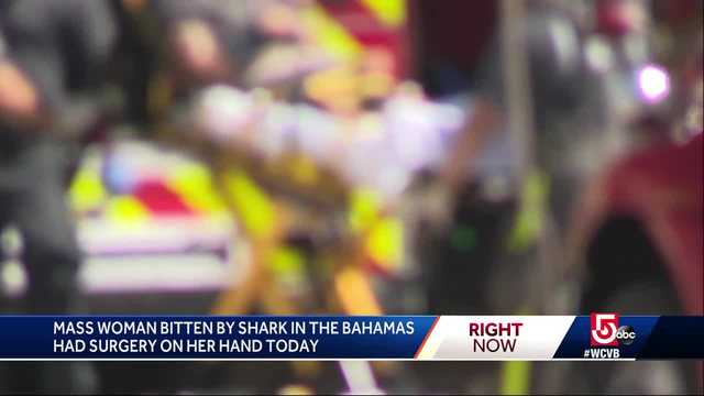 shark tooth found in mass woman s hand after bite in bahamas