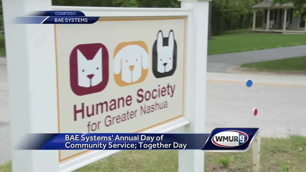 BAE Systems holds annual day of community service