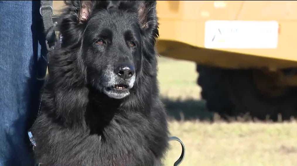new-facility-to-train-service-dogs-for-veterans
