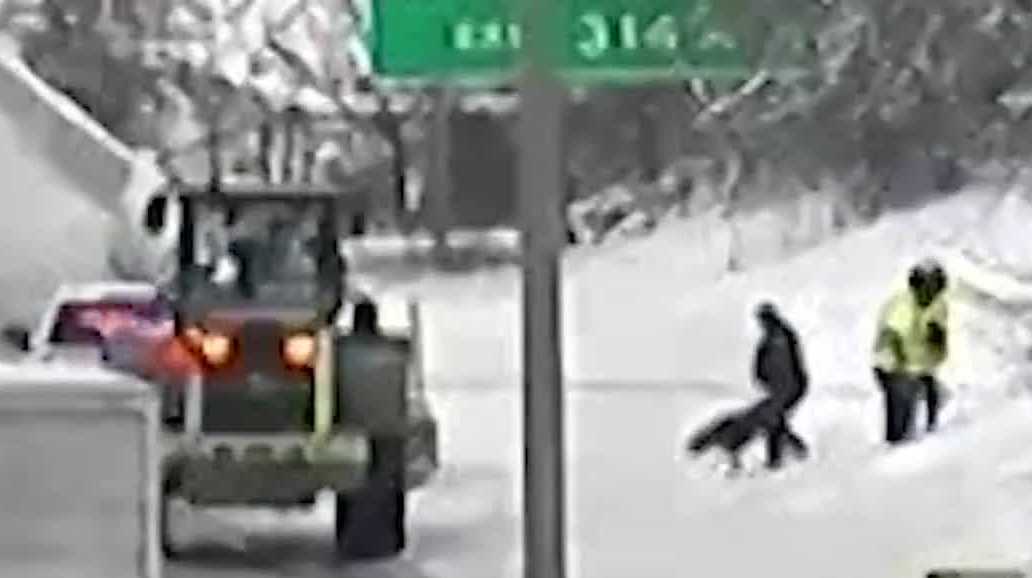 Milwaukee deputies rescue 2 stranded dogs from busy I-43 freeway