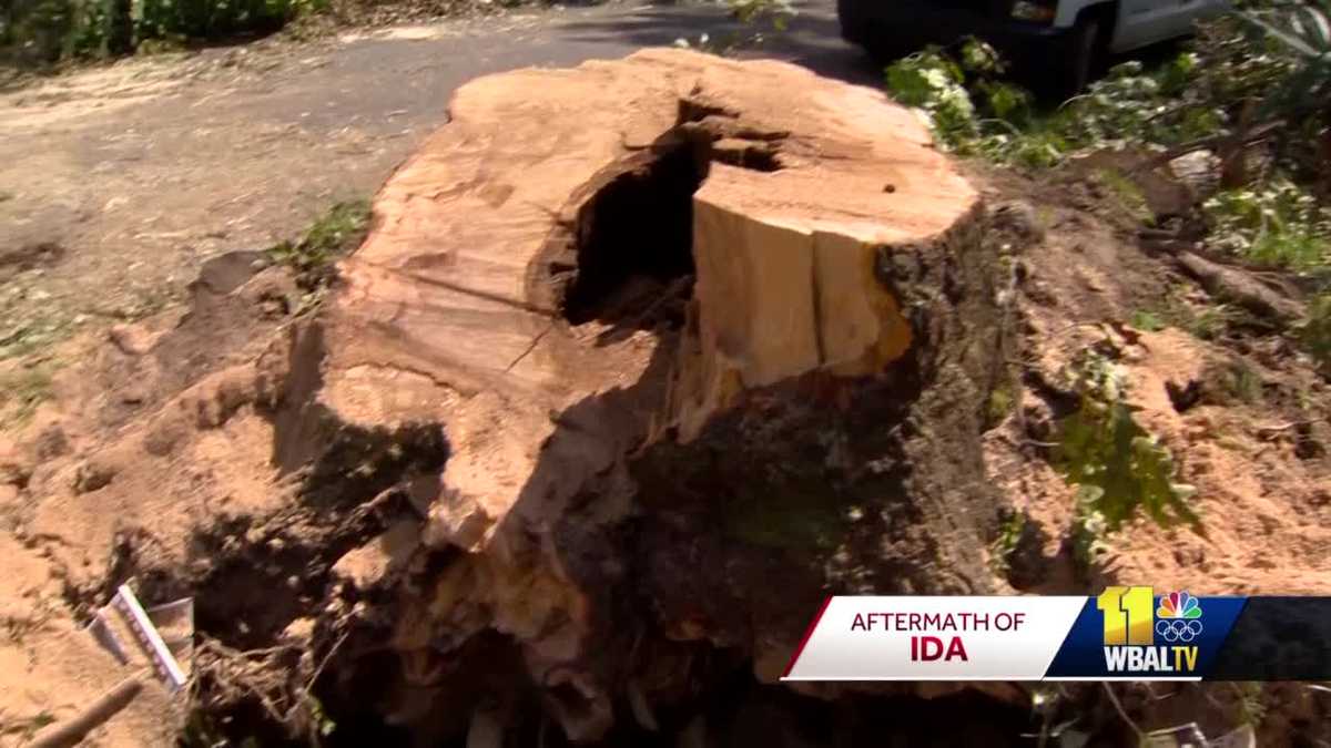 Annapolis homeowners continue cleanup efforts after tornado