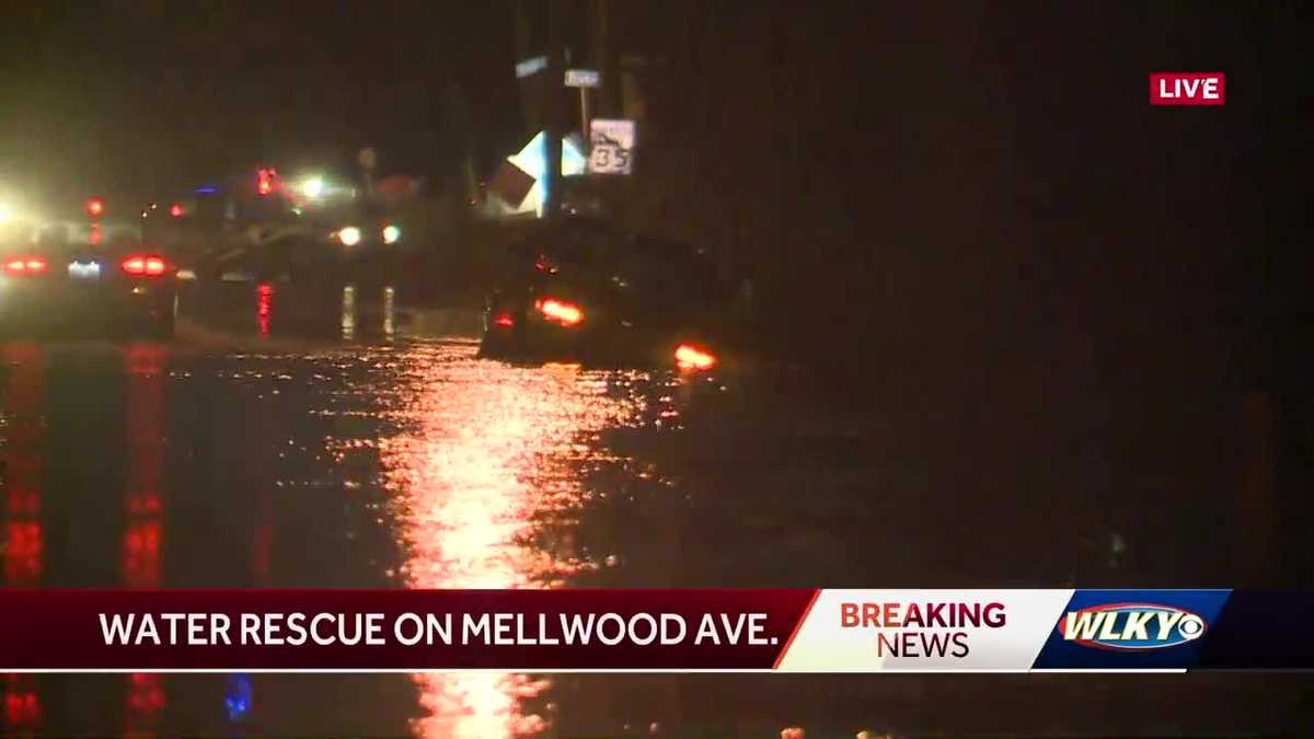 Water rescue underway on Mellwood Avenue
