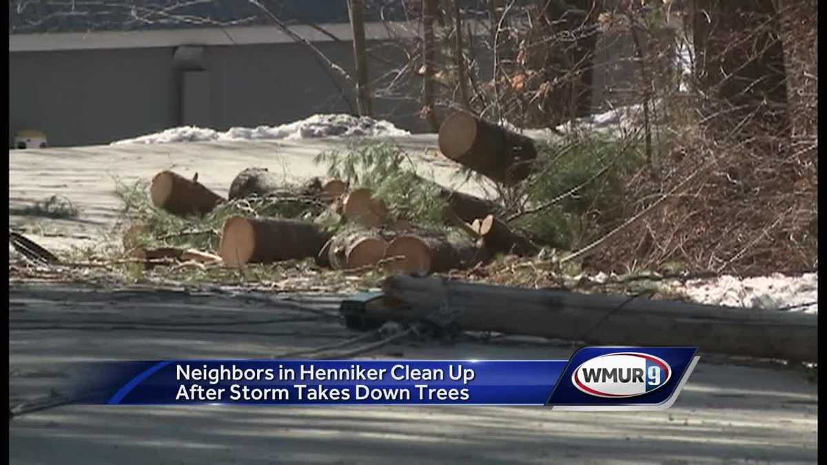 WATCH: Clean-up underway after heavy winds down trees, power lines