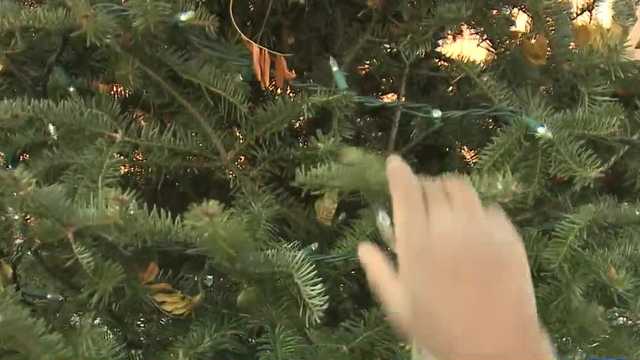 2,000-plus students decorate Christmas trees at Cathedral Square Park - Vimarsana News