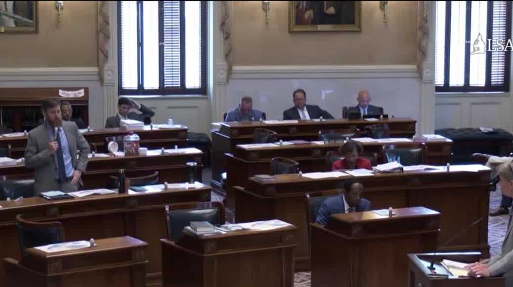 SC Senate begins debate on redistricting bill