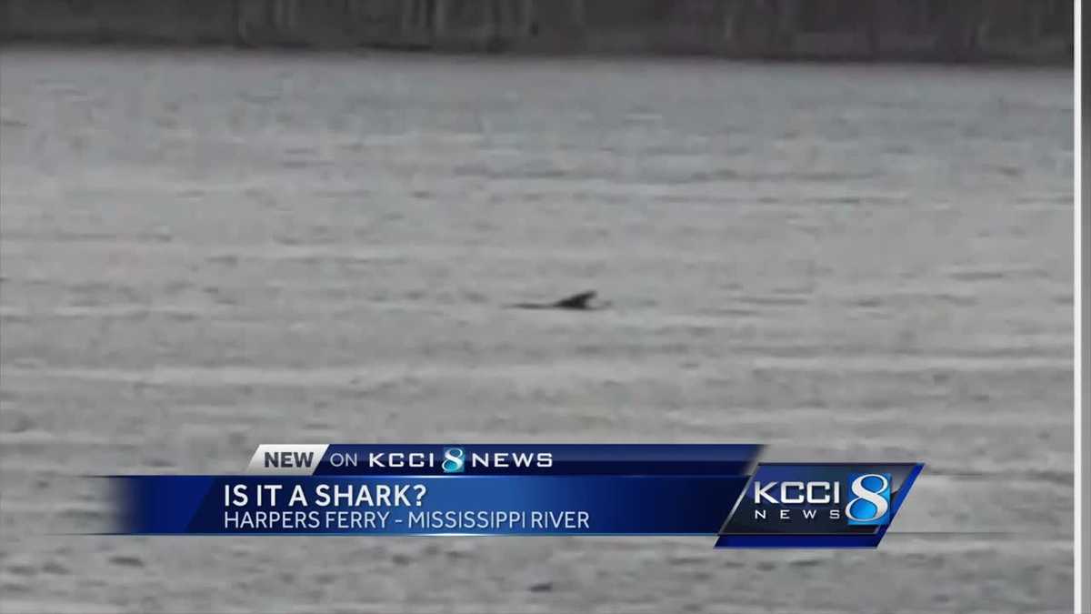 Spotted in Iowa It’s not a shark, but what is it?