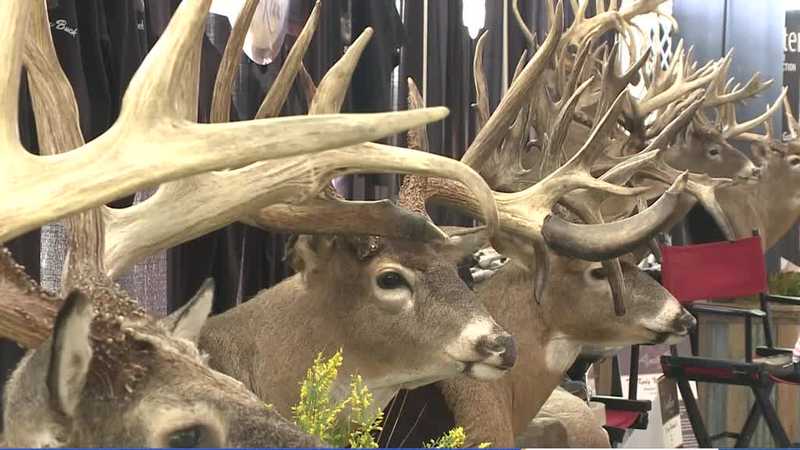 'It's awesome:' Iowa Deer Classic draws thousands with many entertainment sources